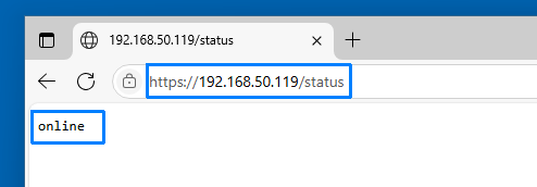 Browser showing https://192.168.50.119/status